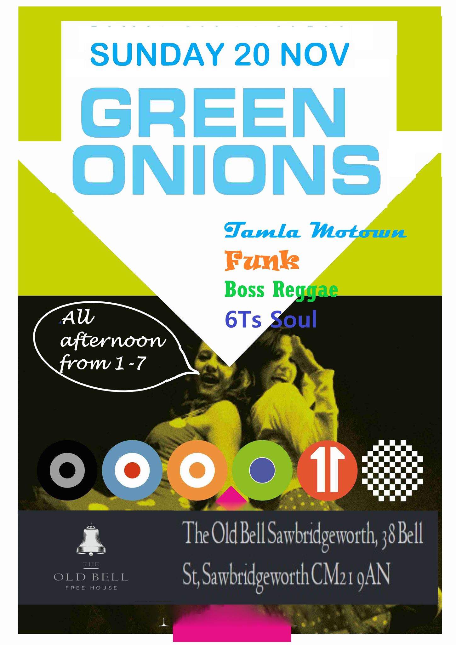 Green Onions - 20/11/22